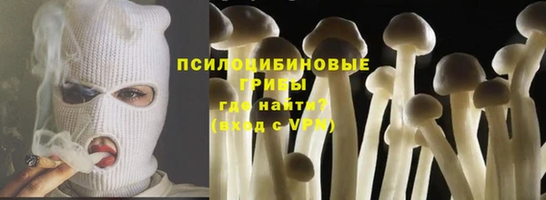 ПСИЛОЦИБИНОВЫЕ ГРИБЫ Армянск
