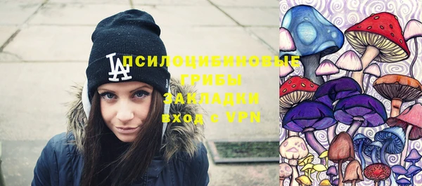 ПСИЛОЦИБИНОВЫЕ ГРИБЫ Армянск