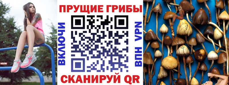 Псилоцибиновые грибы прущие грибы  Инта 